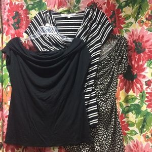 Set of 3 Fun Cowl/Drape-Neck Cap Sleeve Tees